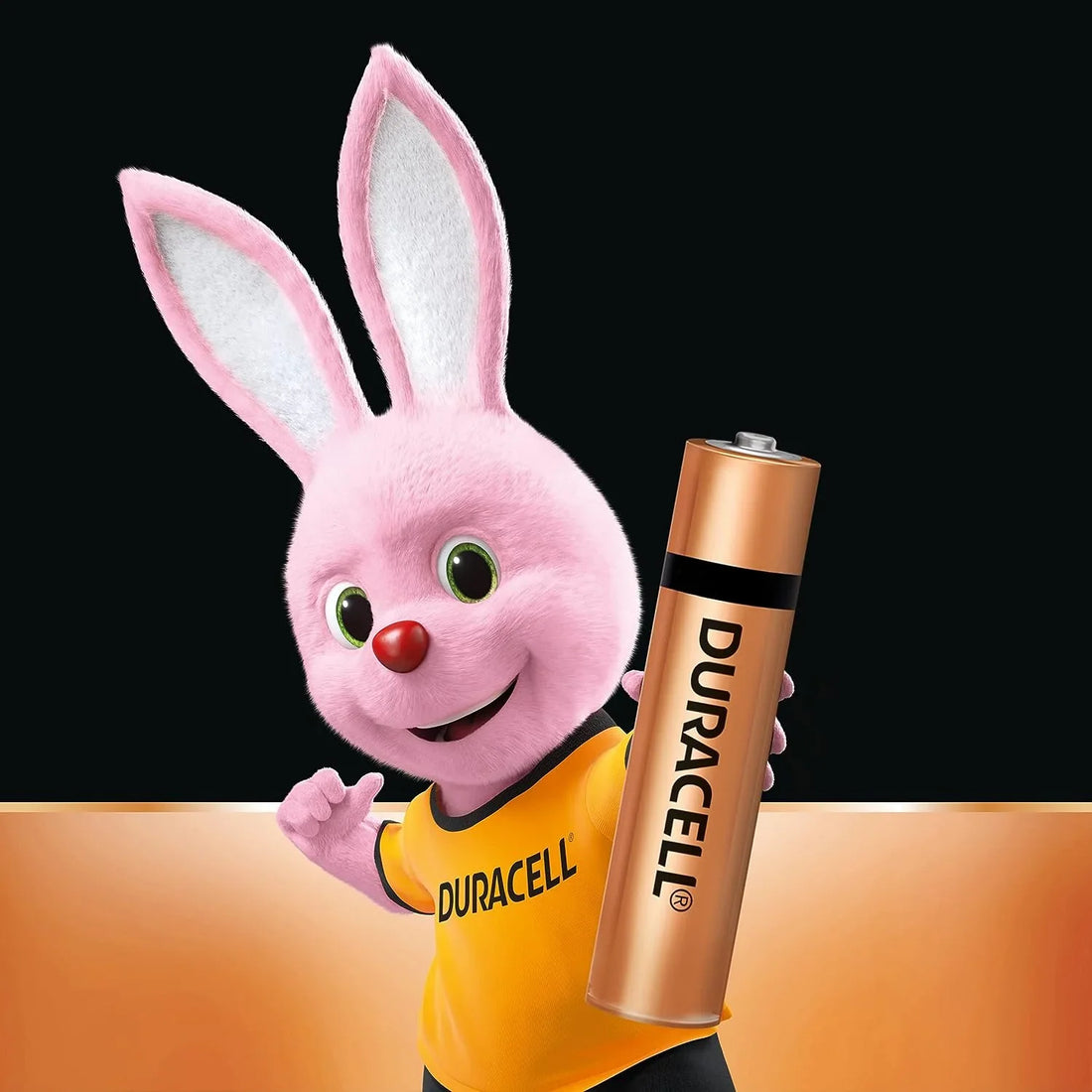 3057 Duracell Alkaline AAA Batteries, Pack of 10