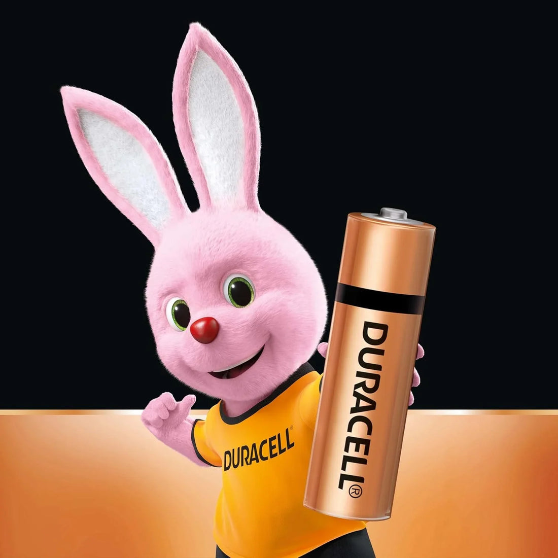 3053 Duracell Alkaline AA Batteries, Pack of 10
